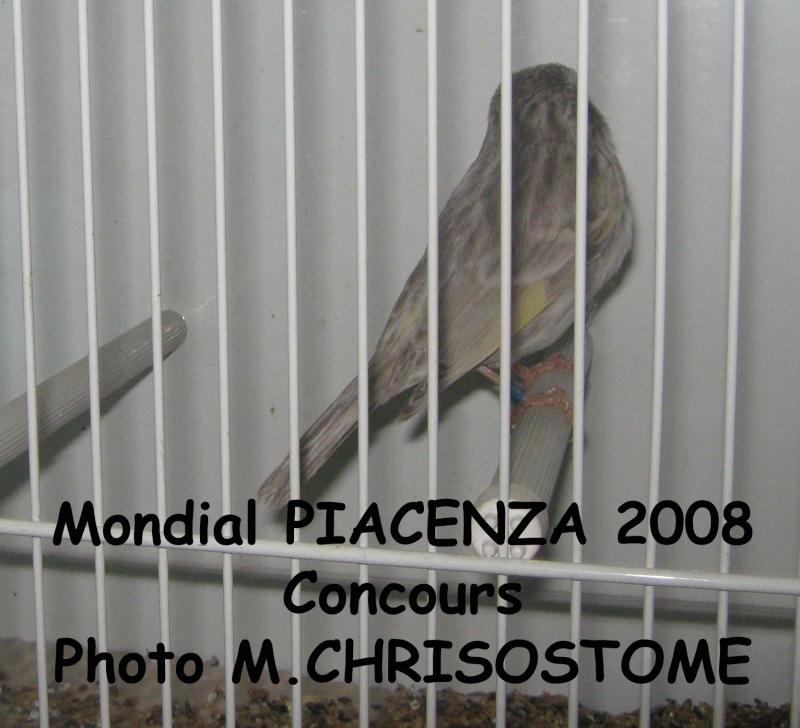 Mondial Piacenza 2009 Mondia25