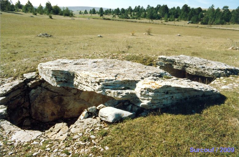 Mgalithes de Lozre Dolmen10