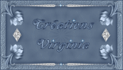 Sites de créations graphiques Virgin10