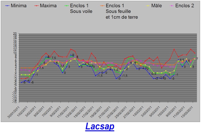 Protection hivernales en BEL et relevé température 2010-2011 Graph_21