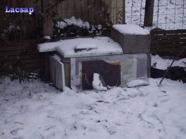 L'HIBERNATION: Exemples pratiques Male_010