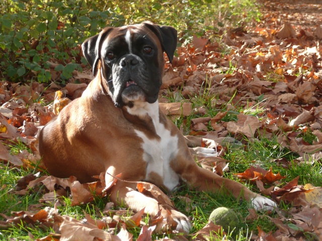 Cyrus en Provence 2010_126