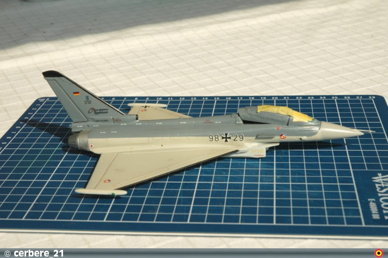 Eurofighter Typhoon (EF-2000)  [Revell] 1/72 - Page 2 Dsc_3911