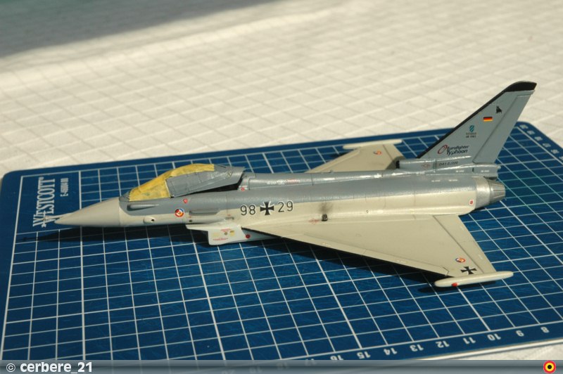 Eurofighter Typhoon (EF-2000)  [Revell] 1/72 - Page 2 Dsc_3912