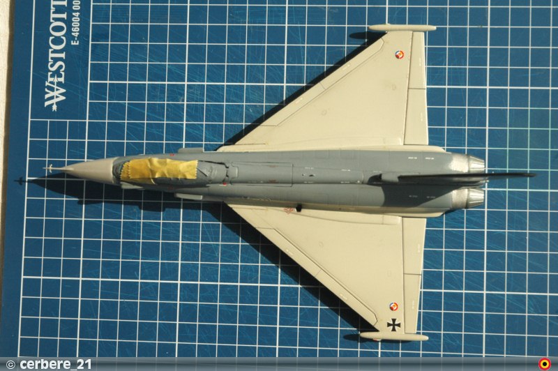 Eurofighter Typhoon (EF-2000)  [Revell] 1/72 - Page 2 Dsc_3914