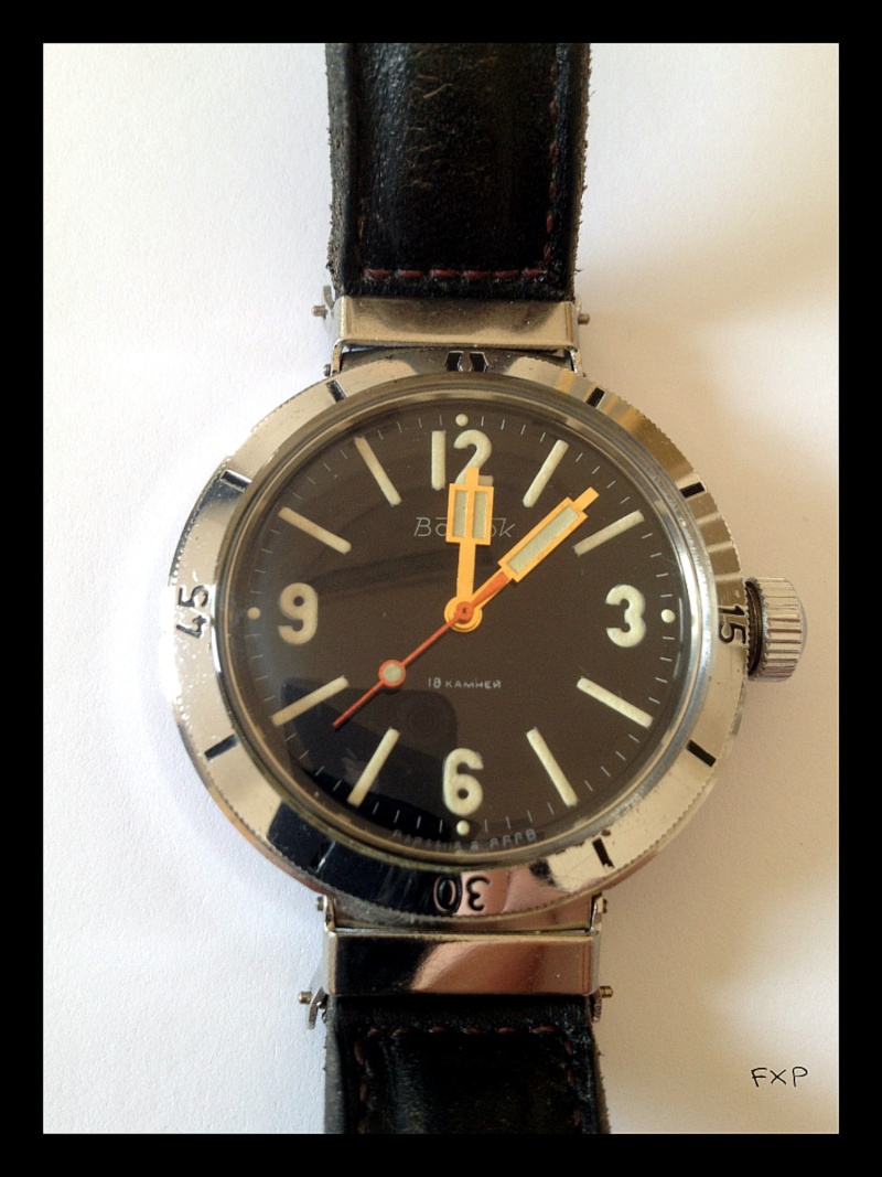 REVUE VOSTOK 300M Vostok12