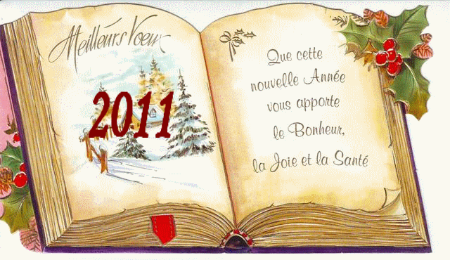 Meilleurs vœux et bonne année 2011 - Page 2 Pour_l25