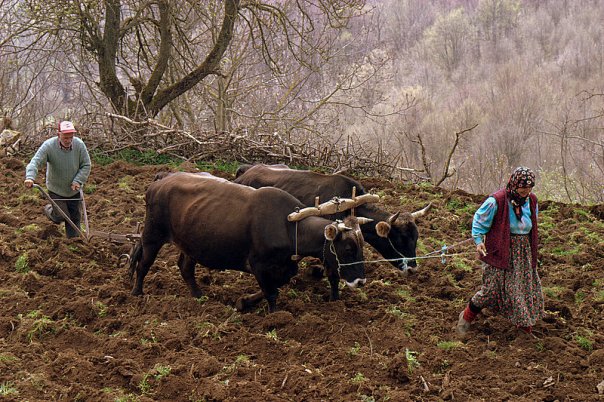 Şükrüpaşa(Mikrochovo), Dereköy / Kırklareli Sukrup10