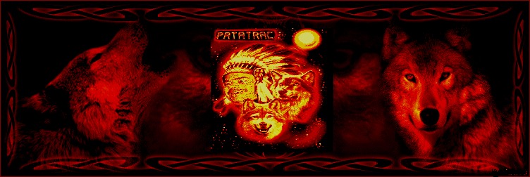 en hommage a PATRICK Patatr12