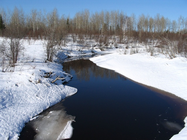 Concours photo du mois de janvier - Page 2 Img_1516