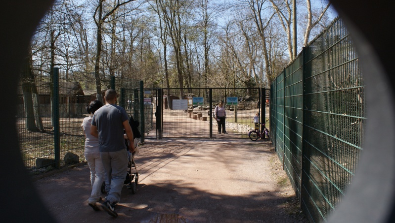 Le parc animalier Friedel d'Illkirch graffenstaden. Dsc07015