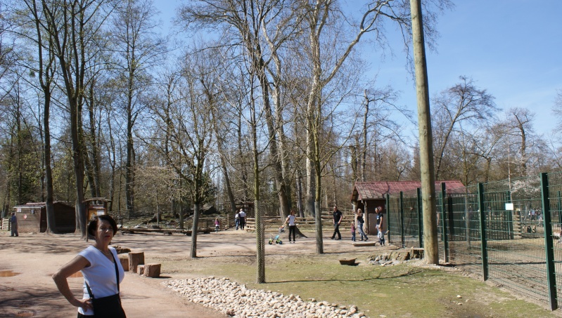 Le parc animalier Friedel d'Illkirch graffenstaden. Dsc07022