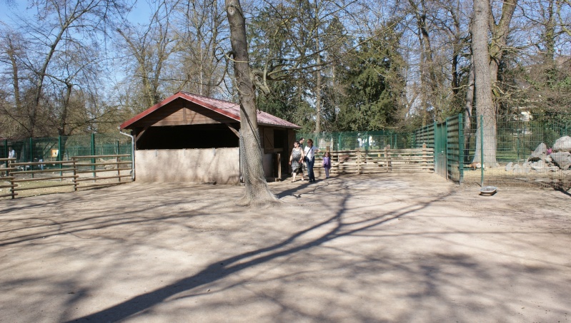 Le parc animalier Friedel d'Illkirch graffenstaden. Dsc07027