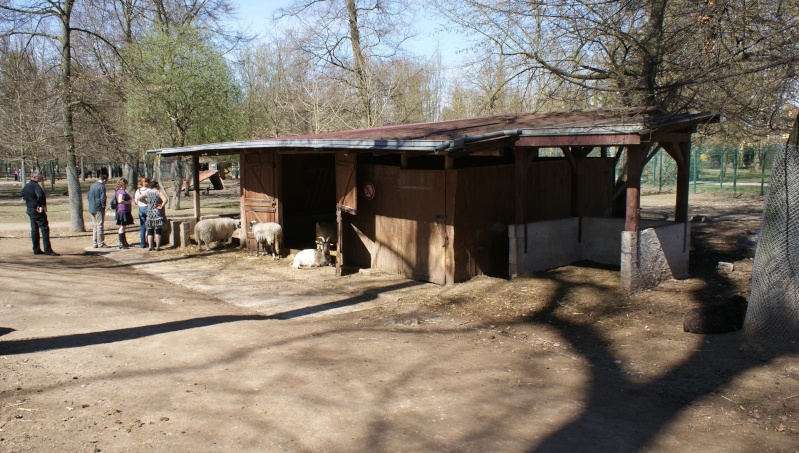Le parc animalier Friedel d'Illkirch graffenstaden. Dsc07033