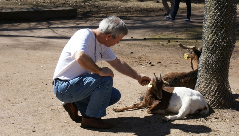 Le parc animalier Friedel d'Illkirch graffenstaden. Dsc07110