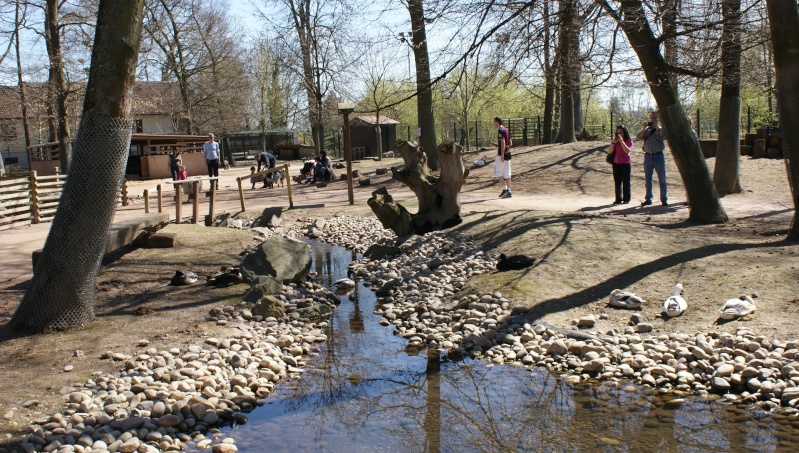 Le parc animalier Friedel d'Illkirch graffenstaden. Dsc07117