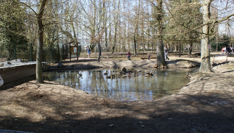 Le parc animalier Friedel d'Illkirch graffenstaden. Dsc07119