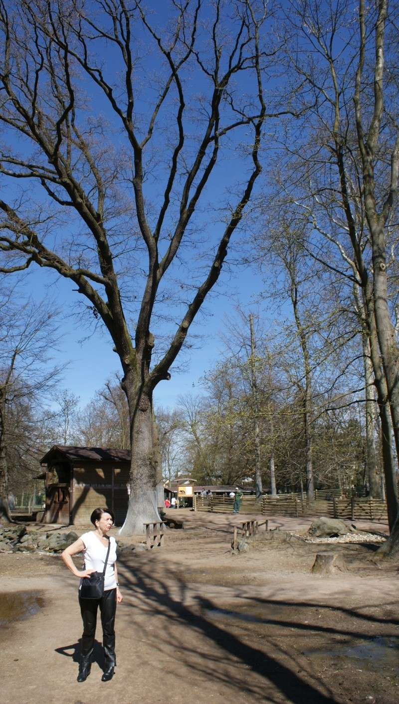 Le parc animalier Friedel d'Illkirch graffenstaden. Dsc07120