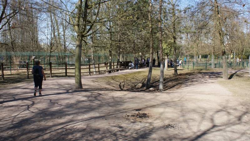 Le parc animalier Friedel d'Illkirch graffenstaden. Dsc07126