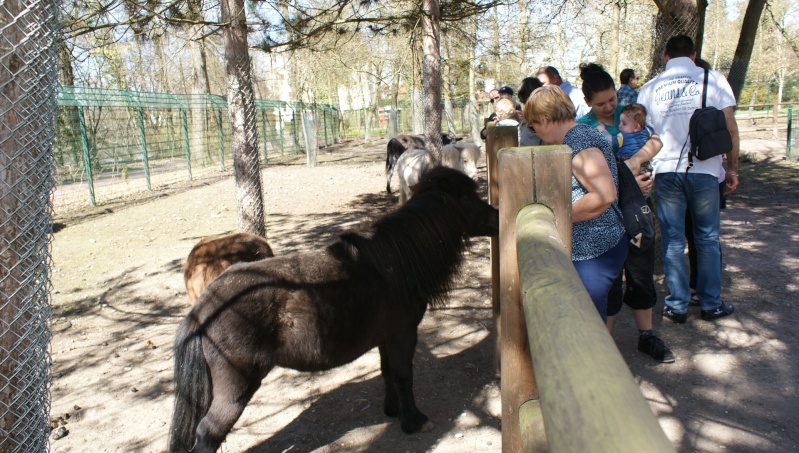 Le parc animalier Friedel d'Illkirch graffenstaden. Dsc07127