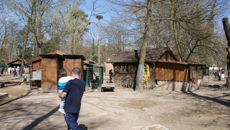 Le parc animalier Friedel d'Illkirch graffenstaden. Dsc07139