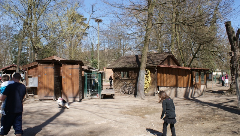 Le parc animalier Friedel d'Illkirch graffenstaden. Dsc07140