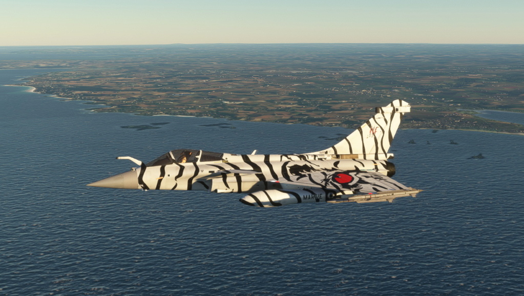micros99.jpg