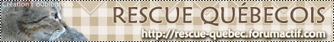 Bannière et/ou logo de Rescue Québecois I_logo20