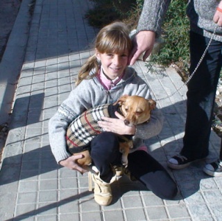 CATI - Perrita cuyo dueño ha fallecido hoy... peligro de ir a la perrera - Castellón Catib210