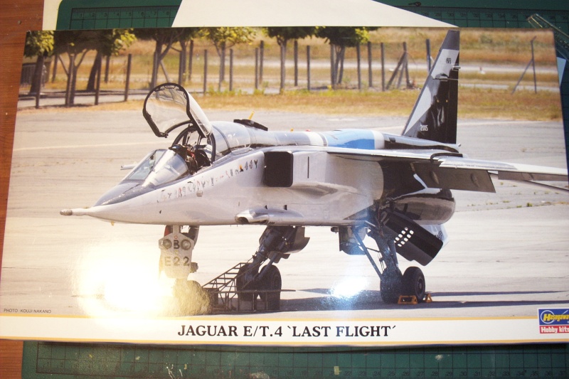 [Hasegawa] 1/72 - Sepecat Jaguar E   Conco314