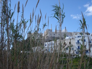 La Capitale de Naxos : CHORA 2009-319