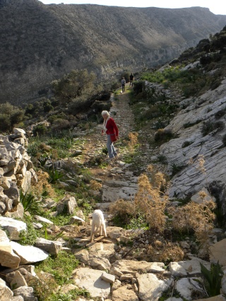 Les Randonnées à Naxos - Page 10 2010-570