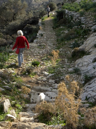Les Randonnées à Naxos - Page 10 2010-571