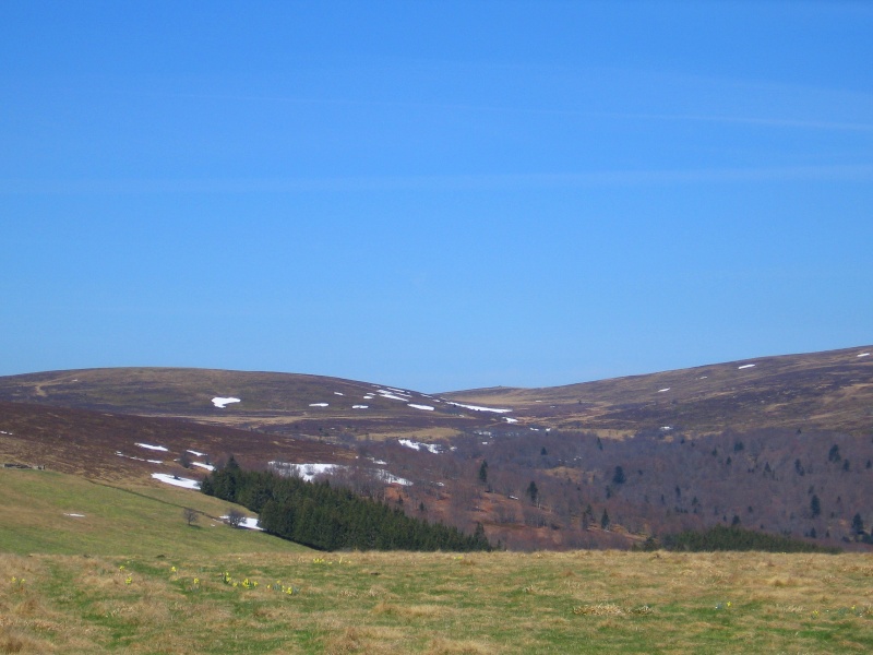 Ballade sur les hauteurs Rimg_742