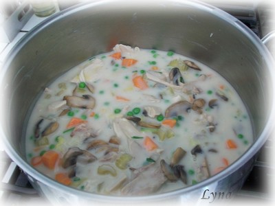 Poulet en sauce avec dumplings aux fines herbes Dumpli12