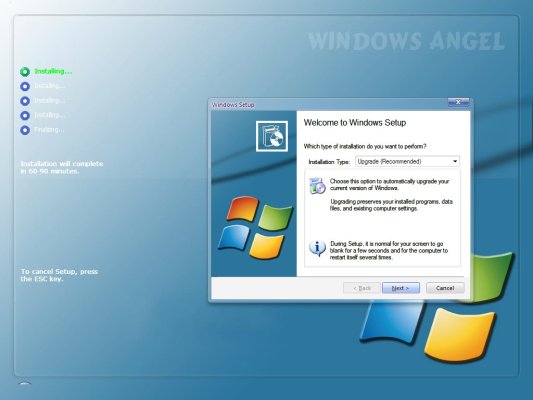    Windows AnGeL Live V.2.0  670     810