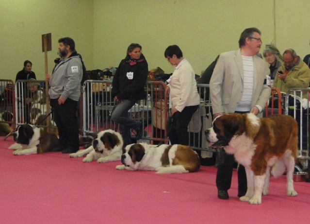 expo Valence 2013 Spécial Dsc00413