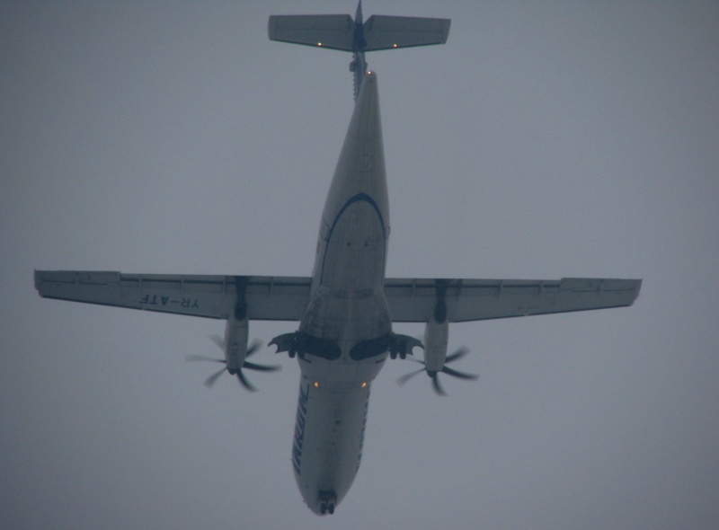 Aeroportul Oradea- Ianuarie 2010 Pictu120