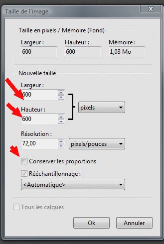 Tutoriel cadre Samedi33