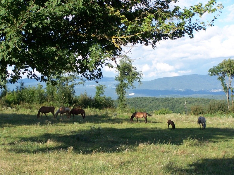 Quelques photos de toute la clic.... Photoj12