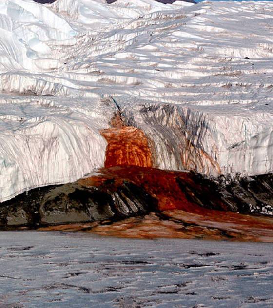 Les surprenantes Cascades de sang en Antarctique Le-lie10