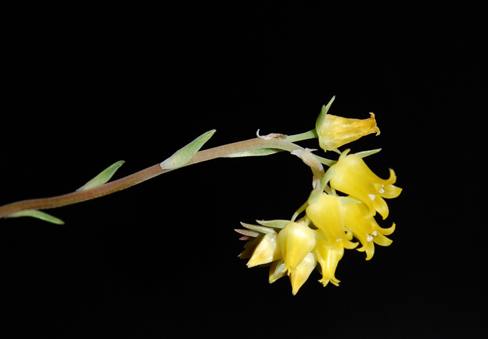 photos - Page 4 114