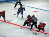 PHOTO DES MASCOTTES DES EQUIPES HOCKEY  GRENOBLE CONTRE DIJON Hockey11