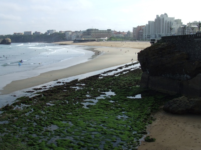 Biarritz - Clermont . Biarri55