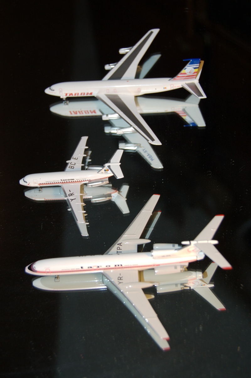 Modele de avioane civile - 2010 - Pagina 4 Dsc_5310