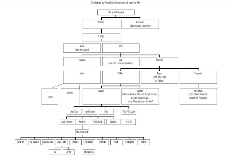 Cours n6 bis : Arbre gnalogique du Prophte sws  partir de Fihr (Quraysh) Organi11