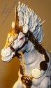 Hilda's horse Kenbbo17