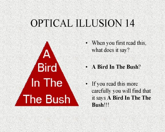 Mind Illusion Bird_i10