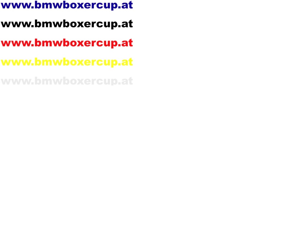 FSB Boxer Racing Team Logo_b10