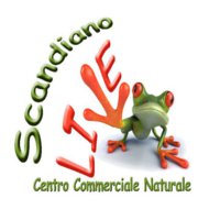 SCANDIANO: INTERVISTA A DAVIDE MASSARINI:SCOPRIAMO COS'E SCANDIANO LIVE..... Scand10